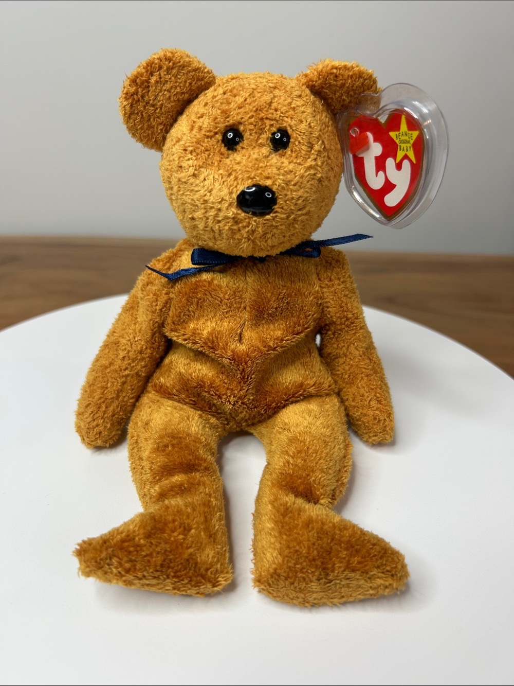 1998 TY Fuzz Beanie Baby 🧸 Tag Protector • Display Case Included